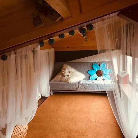 Apartament De Rietnymf Munnekeburen Zewnętrze zdjęcie